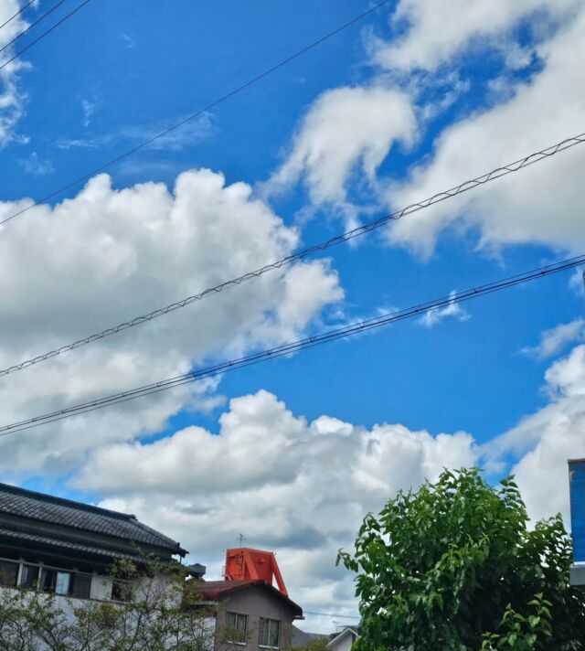 しまんとじかん

四万十町の今空です。
今週にも台風🌀10号が高知県横断しますね💦

今日の四万十町は現在は晴れてますが……
今後の台風情報は見逃せません🌀🌀🌀

今後も四万十町観光案内所として、観光地の状況や宿泊施設や飲食店の情報発信いたします🙇‍♀️
安全第一で今日も頑張りましょう🔥💪

 #四万十町  #四万十町観光協会  #台風情報  #台風情報にご注意ください  #観光案内所