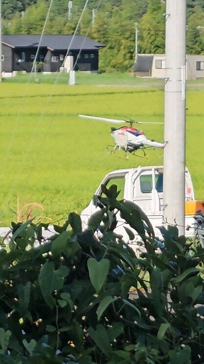 しまんとじかん

おはようございます😊
ドクターヘリ😊ならぬ……

お米が美味しい四万十町はドクターヘリ🚁(消毒散布用)が飛びます。
朝からかっこいい✨

リモコン操作で散布とかすごい👏
田舎あるあるですね

今日も一日頑張りましょう💪🔥
今後の台風🌀が心配ですが😟

 #四万十町  #消毒散布ヘリコプター  #仁井田米  #米が好き  #田舎あるある  #お米好きな人と繋がりたい