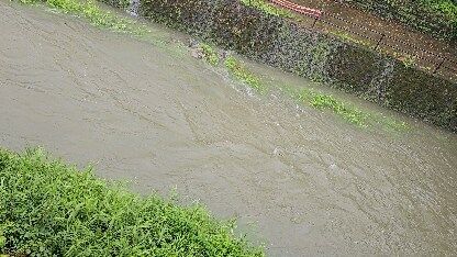 ～しまんとじかん～

おはようございます 
本日の四万十町は台風接近に伴い🌀
時折強い雨が降ってます☔
当事務局下の「吉見川」も普段は鮎がコケ食べたりしていて、穏やかなんですが……
今日は濁流……💦💦
今後の台風接近が心配されます🌀🥺

JR四国「須崎～窪川間」は本日終日運転見合わせしております。
町内の施設や飲食店様も臨時休業も予想されます。
皆様の安全第一で今日一日を過ごせますように……

 #四万十町観光協会  #台風情報にご注意ください  #台風情報  #しまんとじかん  #shimanto_town