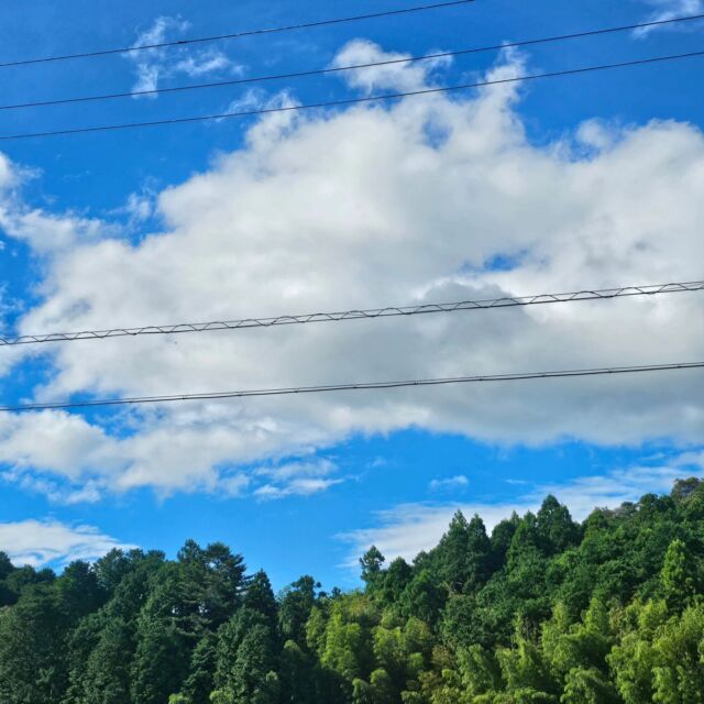 しまんとじかん

～台風🌀～

皆様おはようございます😊
今朝はびっくりするくらいの晴れ☀️.
一時はどうなるかと……ヒヤヒヤ💦💦
四万十町は大きな被害もなく一安心ε-(´∀｀*)ホッ

川はまだ増水してる箇所もありますので、危険ですので近寄らないようにお願い致します🙇‍♀️🙇‍♀️

本日よりお客様を笑顔でお待ちしております☺️☺️

☀☀☀☀☀☀☀☀☀☀☀☀☀☀☀☀☀☀☀☀☀☀☀

~Typhoon 🌀

Good morning everyone😊.
Surprisingly clear skies this morning ☀️.
At one point we were wondering what was going to happen ......💦.
No major damage in Shimanto Town, which is a relief ε-(｀｀*).

The river is still swollen in some parts, so please stay away from the river as it is dangerous. 🙇‍♀️🙇‍♀️

We are waiting for you with smiles from today ☺️☺️

 #四万十町  #台風  #四万十町観光協会  #高知県  #四万十町が好き  #shimanto_town  #shimantoriver