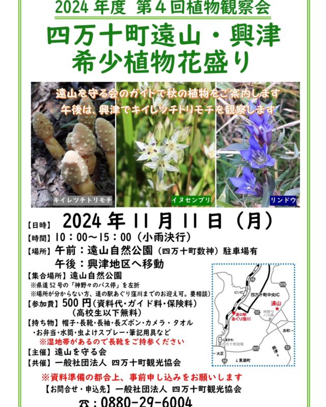 ～しまんとじかん～

「第4回植物観察会」
‪🌱‬四万十町遠山・興津希少植物花盛り☘️

今回も珍しい「キイレツチトリモチ」や「イヌセンブリ」などここでしか見ることが出来ない植物ばかり‎ܾ ܾ 𖥧𓇣𖦥𖥧𖥣

■開催日：11月11日(月)
■時間：10:00～15:00(小雨決行)
■場所：午前🌸遠山自然公園(四万十町数神)
 午後🌸興津地区へ移動
■集合場所：遠山自然公園
※集合場所がご不明な方は「道の駅あぐり窪川」にて集合。お申込時にお問い合わせくださいませ🙇‍♀️
■参加費：５００円(資料代、ガイド料、保険料込)
※高校生以下無料
■持ち物：帽子、長靴、長袖、長ズボン、カメラ、タオル、お弁当、水筒、虫除けスプレー、筆記用具など
※湿地帯がありますので長靴をご持参ください🙇‍♀️

🌳主催：遠山を守る会🌳

「共催：一般社団法人四万十町観光協会」

■お問い合わせ・申込先
一般社団法人四万十町観光協会
☎0880-29-6004

⚠️資料準備の都合上、事前お申込をお願いします⚠️

- ̗̀🌱- ̗̀🌱- ̗̀🌱- ̗̀🌱- ̗̀🌱- ̗̀🌱- ̗̀🌱- ̗̀🌱- ̗̀🌱- ̗̀🌱- ̗̀🌱- ̗̀🌱- ̗̀🌱-

The 4th plant observation meeting
🌱Simanto Town, Toyama, Okitsu rare plants in full bloom☘️

𖥧𓇣𖦥𖥧𖥣

Date: Monday, November 11
■Time：10:00-15:00(Light rain will be held)
Location：Afternoon：Toyama Nature Park(Shimanto-machi, Kazugami)
 Afternoon🌸Move to Okitsu area
Meeting place: Toyama Nature Park
If you do not know where to meet, we will meet at "Roadside Station Aguri Kubokawa". Please inquire at the time of application. 🙇‍♀️
Participation fee: 500 yen (includes materials, guide fee, and insurance)
Free for high school students and younger.
■Personal belongings: Hat, boots, long sleeves, long pants, camera, towel, packed lunch, water bottle, insect repellent, writing utensils, etc.
*Because of the wetlands, please bring boots. 🙇‍♀️

🌳Sponsored by the Society for the Protection of Mt.

Co-sponsored by Shimanto Town Tourist Association

Contact for inquiries and applications
Shimanto Town Tourist Association
☎0880-29-6004

⚠️Please apply in advance for the preparation of materials. ⚠️

 #tosa草花  #四万十町  #植物観察会  #四万十町遠山地区  #四万十町遠山自然公園  #希少植物観察会  #キイレツチトリモチ  #植物観察が好き  #どっぷり高知旅  #四万十町興津地区  #植物観察会が好き  #山野草  #植物好きな人と繋がりたい