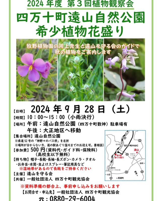 しまんとじかん

🌱🌱第3回植物観察会🌱🌱
「希少植物花盛り」

■日時：2024年９月28日（土）
■時間：10:00～15:00(小雨決行)
■場所：【午前】四万十町遠山自然公園
 【午後】大正地区へ移動🚗³₃
■集合場所：四万十町遠山自然公園
■参加費：５００円(資料代、ガイド料、保険料込)
 ※高校生以下無料
■持ち物：帽子、長靴、長袖、長ズボン、カメラ、タオル、お弁当、水筒、虫除けスプレー、筆記用具など
 ※湿地帯があるので長靴をご持参ください👢

👨‍🏫牧野植物園の鴻上先生と巡る秋の植物観察をお楽しみくださいませ😊

⚠️資料準備の都合上、事前申込をお願い致します🙇‍♀️⚠️

【主催】
四万十町遠山を守る会

【共催・お申込お問合せ先】
一般社団法人四万十町観光協会
☎0880-29-6004

🍀🌿‬🌱͛🍃🍀🌿‬🌱͛🍃🍀🌿‬🌱͛🍃🍀🌿‬🌱͛🍃🍀🌿‬🌱͛🍃🍀🌿‬🌱͛🍃

🌱The 3rd plant observation meeting 🌱🌱🌱
Rare Plants in Bloom"

■Date: Saturday, September 28, 2024
Time：10:00-15:00(Light rain will be held)
Place: [Morning] Shimanto Town Toyama Nature Park
  In the afternoon, we will move to Taisho area.
Meeting place: Shimanto Town Toyama Nature Park
Participation fee: ¥500 (includes materials, guide fee and insurance)
 Free for high school students and younger.
■Personal belongings: Hat, boots, long sleeves, long pants, camera, towel, packed lunch, water bottle, insect repellant spray, writing utensils, etc.
 *Please bring boots as there are wetlands 👢.

Please visit 👨‍🏫 and enjoy an autumn plant observation tour with Dr. Konoe of the Makino Botanical Garden 😊.

⚠️Please register in advance due to preparation of materials 🙇‍♀️⚠️

Organized by.
Shimanto Town Tohsan wo Mamoru Kai (Association for the Protection of Shimanto Town Tohsan)

Co-sponsored by Shimanto Town Tohsan Preservation Association.
Shimanto Town Tourist Association
Shimanto Town Tourist Association ☎ 0880-29-6004

 #四万十町  #四万十町大正地区  #四万十町遠山地区  #遠山を守る会  #希少植物観察会  #植物観察会  #花盛り  #花が好き  #植物観察会が好き  #tosa草花  #牧野植物園鴻上先生  #鴻上泰  #植物が好き  #希少植物  #shimanto_town  #shimantotown